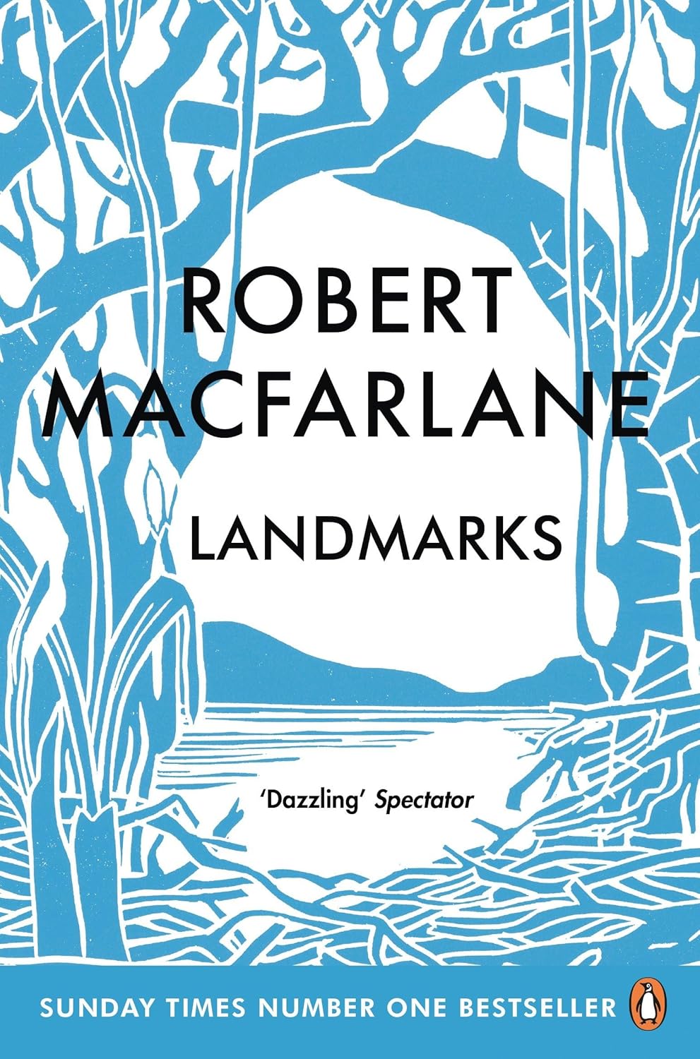 David Kirby on Robert Macfarlane’s Landmarks (2020)
