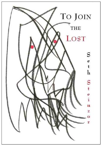 Seth Steinzor, To Join The Lost (2010